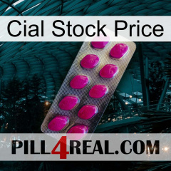 Cial Stock Price 09